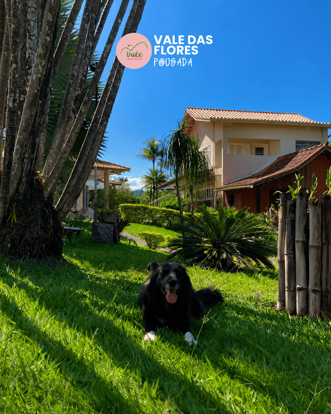 Pousada Vale das Flores em Penedo, RJ
